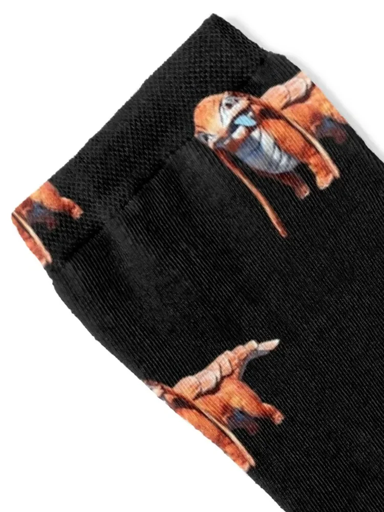 Lizard Doggo Socks luxury designer halloween hiphop Ladies Socks Men's