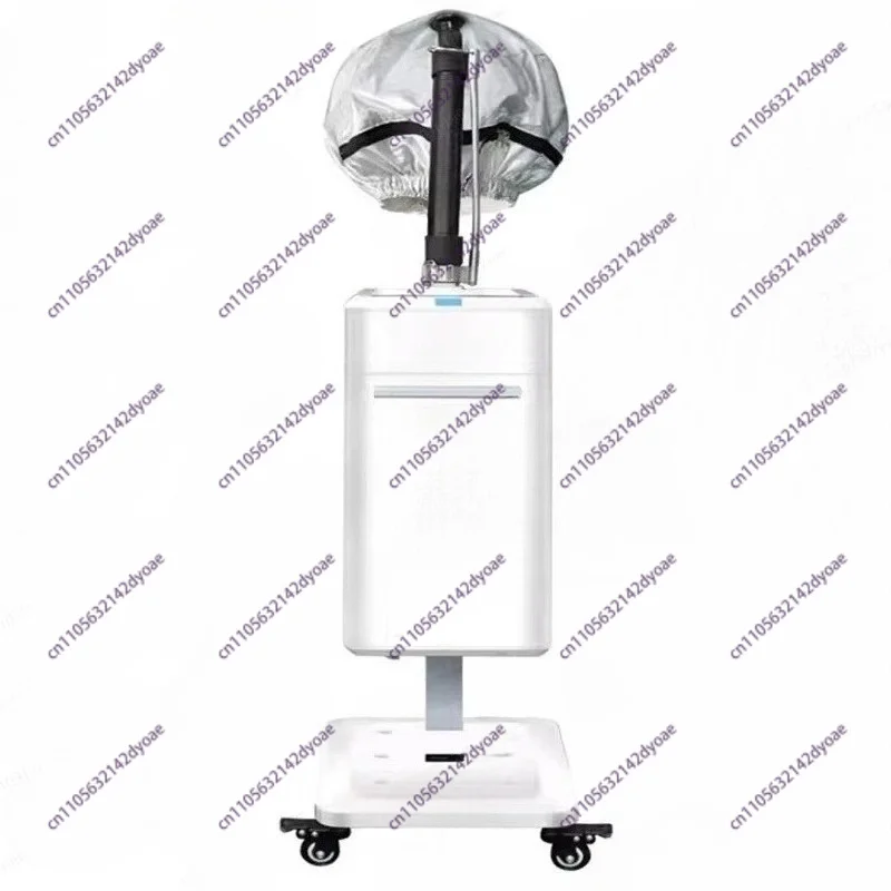 

Nano Atomizing Hair Conditioner – Intelligent Essential Oil Introduction, Hair Nourishing & Repair Machine
