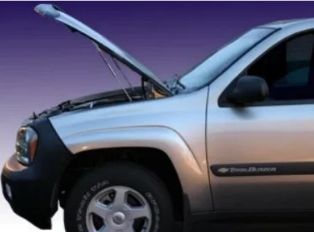 Damper For 2001-2009 GMC Envoy Chevrolet Trailblazer Rear Window/Front Bonnet/Rear Tailgate Trunk Gas Struts Lift Support Shock