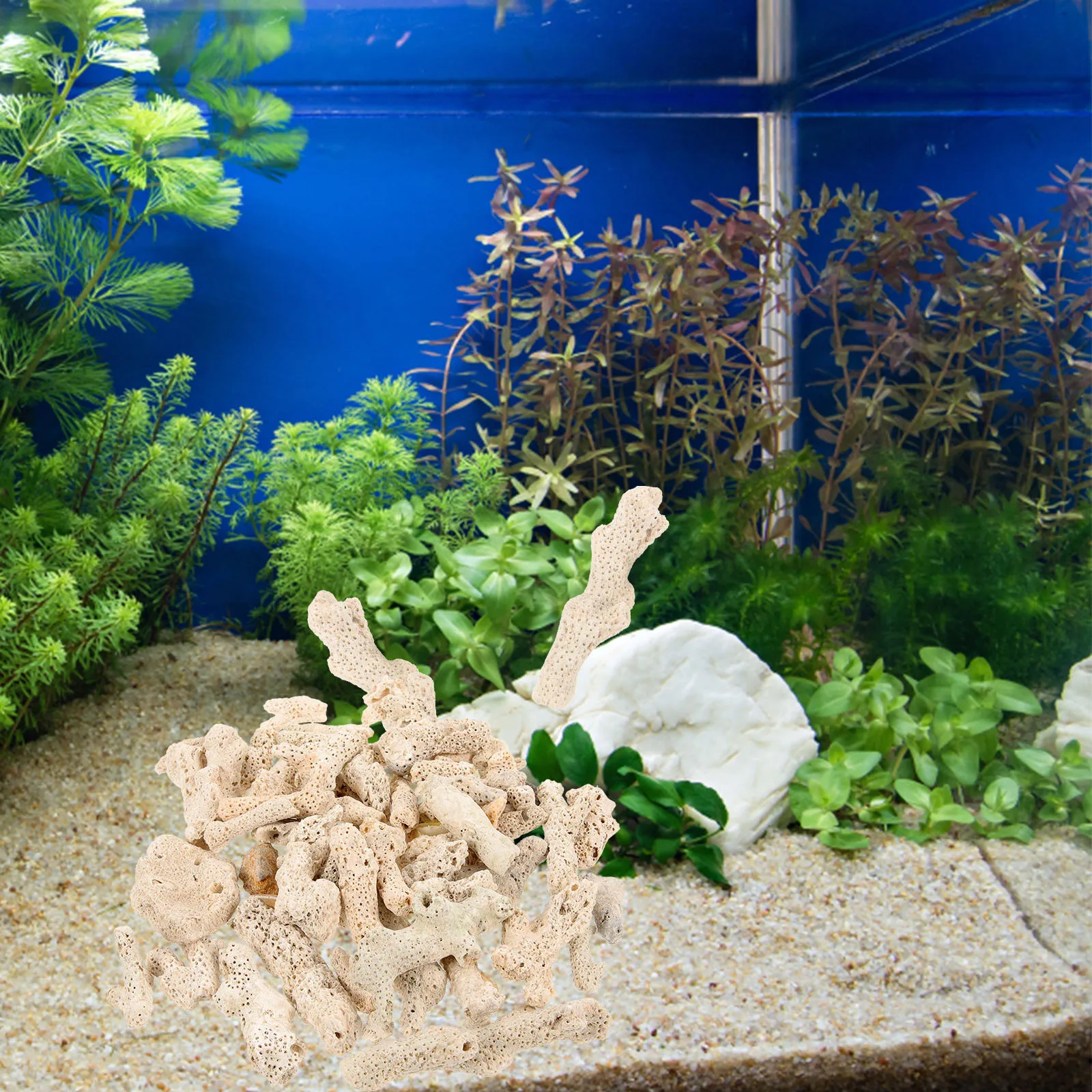 

Coral Bone Substrate 1Set Natural Aquarium Filter Media Fresh Saltwater Tank Fish Pond Filtration Material Stable Water