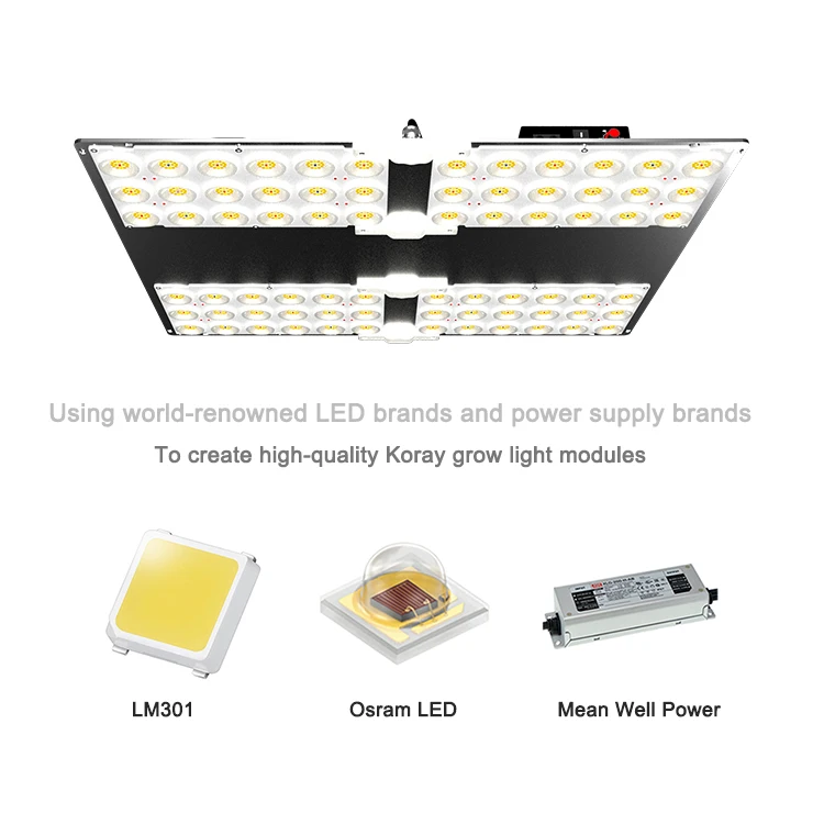 Hydroponic Plant La… - image