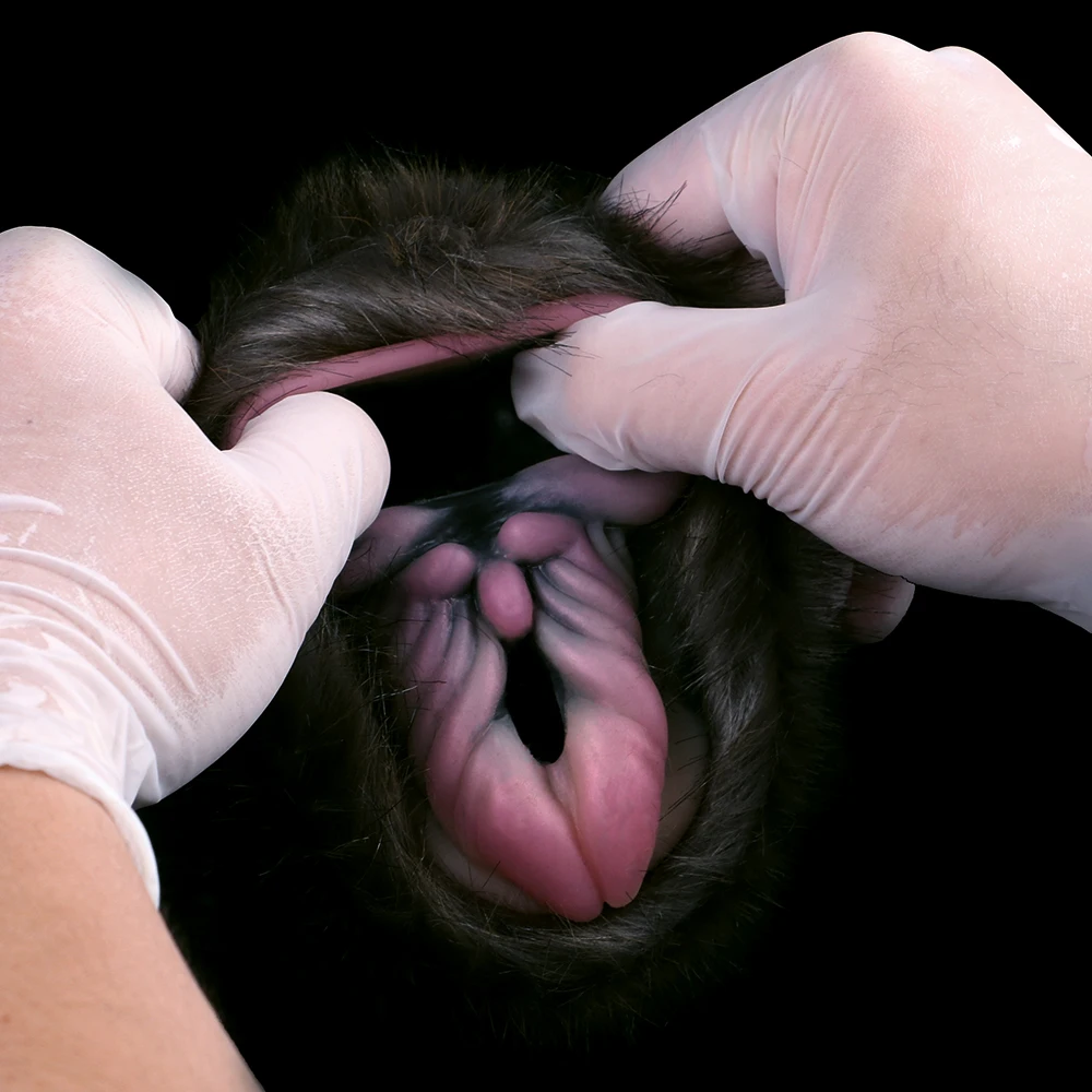 GEEBA Dual Channel Male Masturbator In Fur Fantasy Furry Onahole  Realistic Vagina Soft Silicone Sex Toy For Men Penis Exerciser image 5