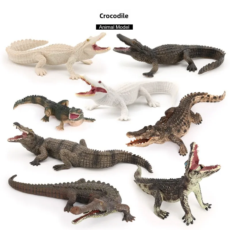 Collectible Hand-painted Crocodile Miniatures, Set of Realistic Yangtze Gators and Wild Boar, Exquisite Wildlife Model Toys