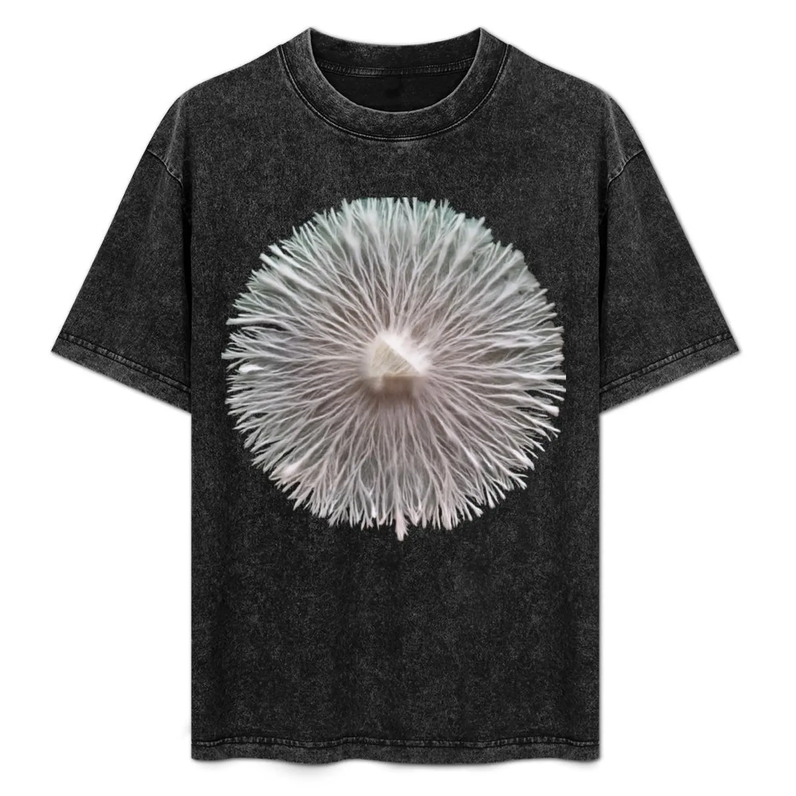 

Myc T-Shirt Basic Simple Design Short Sleeve Shirt