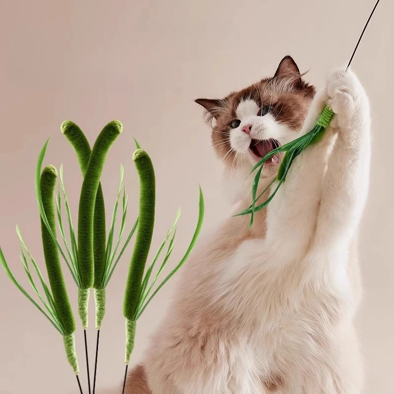 Cat Interactive Toy Cat Dog Tail Grass Dog Sage Feather Long Pole Cat Teasing Stick Bite Resistant Cat Sound Toy Pet Supplies