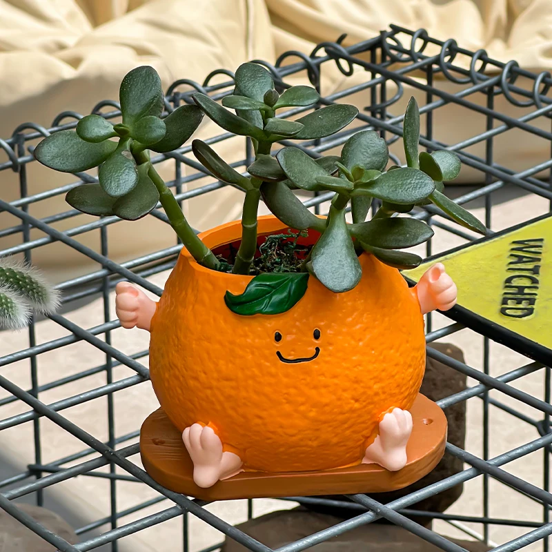 الإبداعية لطيف الوجه المبتسم البرتقالي الجلوس الموقف زهور عصارية في الهواء الطلق حديقة فناء زهرة بوعاء الديكور