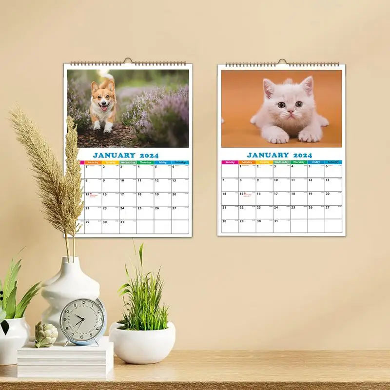 Dog Calendar 2024 Creative Dog Calendar Daily 2024 A4 Wall Calendar Dog Calendar Daily Wall Decor For Apartment Dormitory
