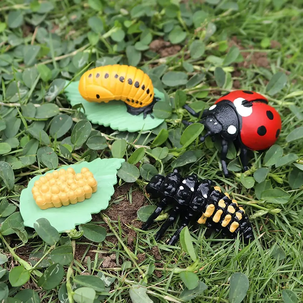 Life Cycle Figurines of Butterfly Spider Bee Ladybug Dragonfly, Plastic Insect Bug Figures Toy, School Project for Kids