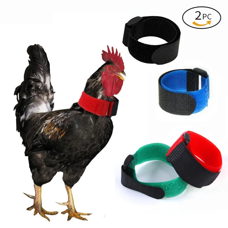 Pet Chicken Upgrade No Crow Rooster Collar  2 Pack Chicken Neckband Noise Free Anti Noise Nylon Neck