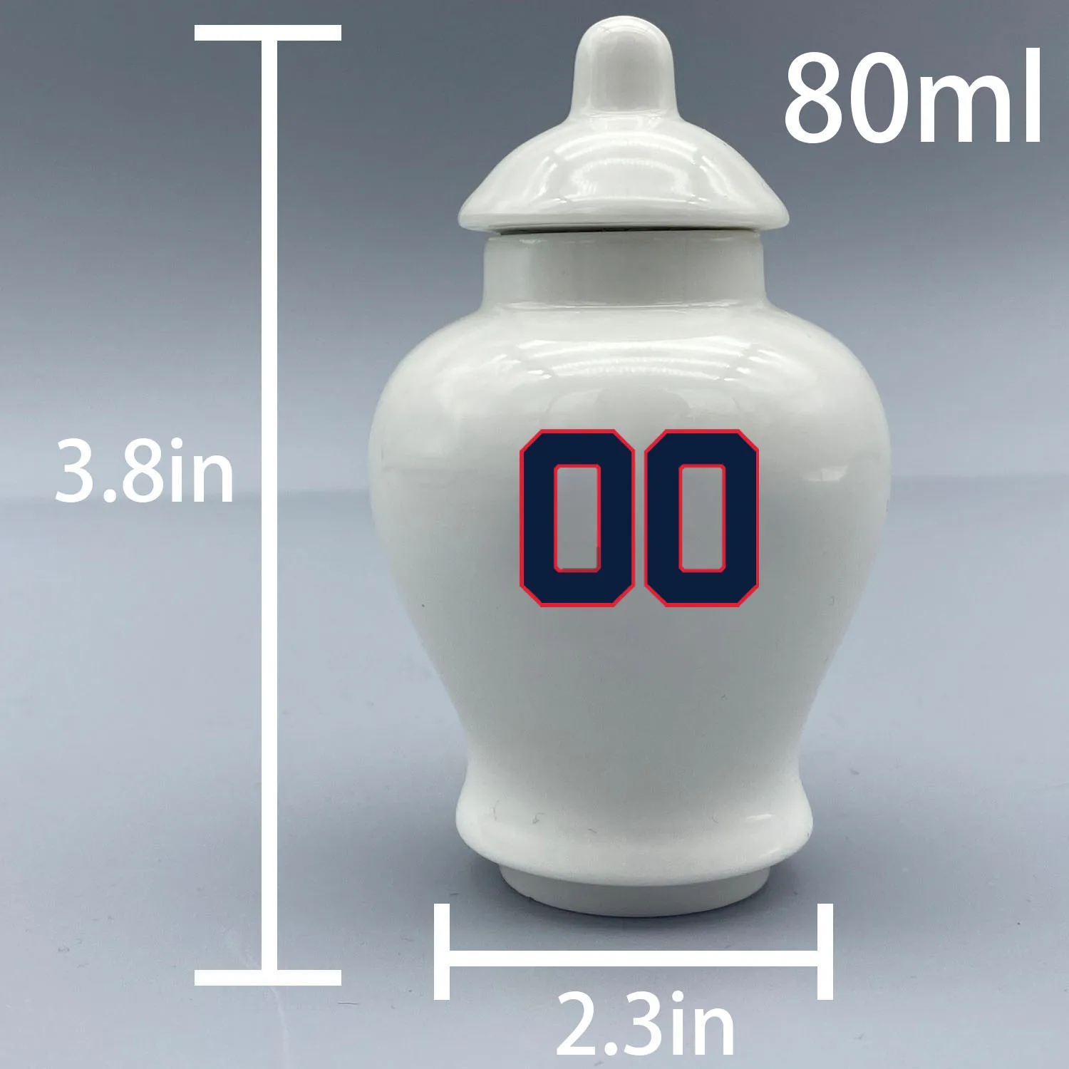 Mini Urn for Minnesota Twins-Baseball themed.Please send me the customization information - name/date and number on the urn