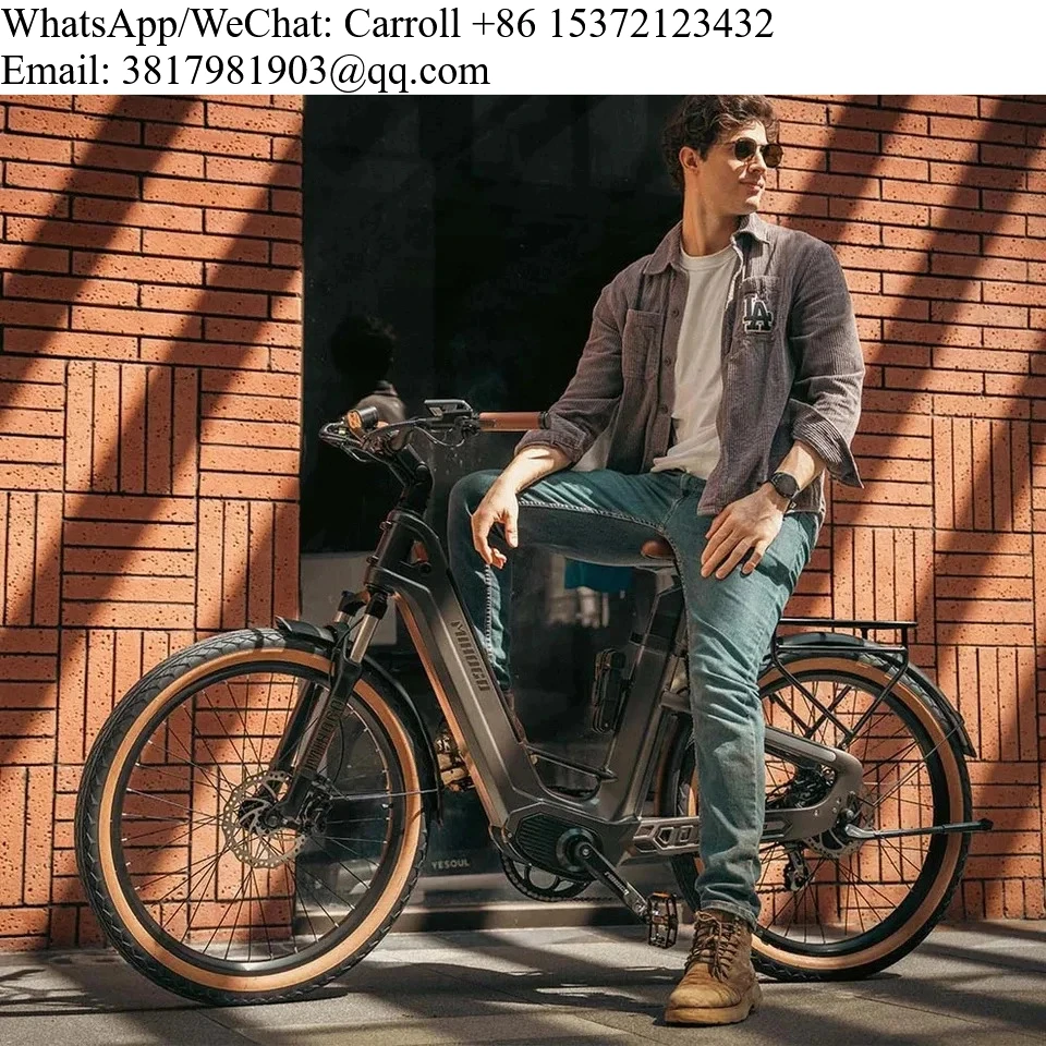 

MIHOGO Brand New Air Top Speed 25 Mph Carbon Fiber Electric Bicycle 750W Motor 48V9.6AH *2 Lithium Batteries 100 Mile Max Range