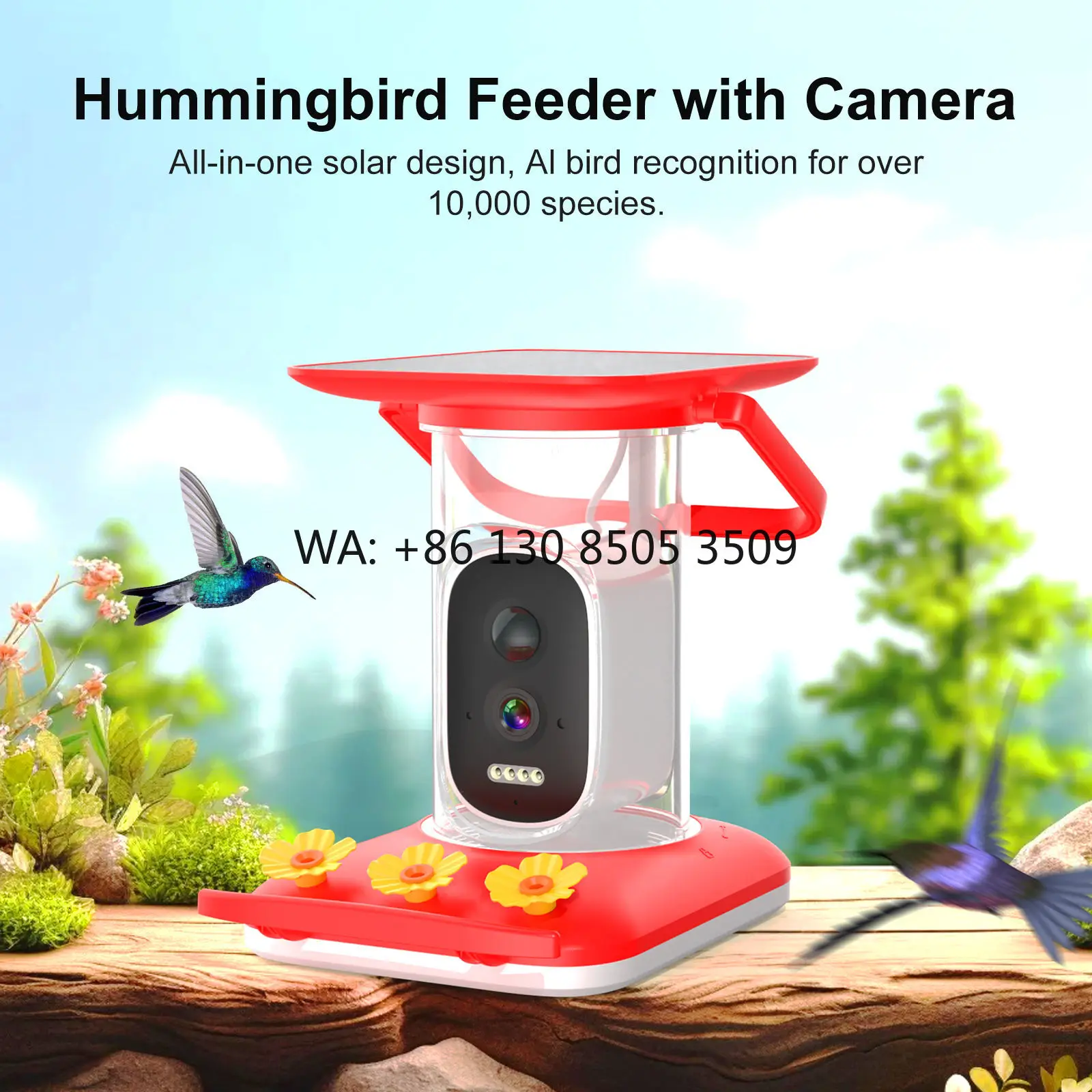 

Wireless Solar Powered Hummingbird Feeder with AI Camera for Wild Bird Identification Real Time Video Notify Smart Birdfeeder