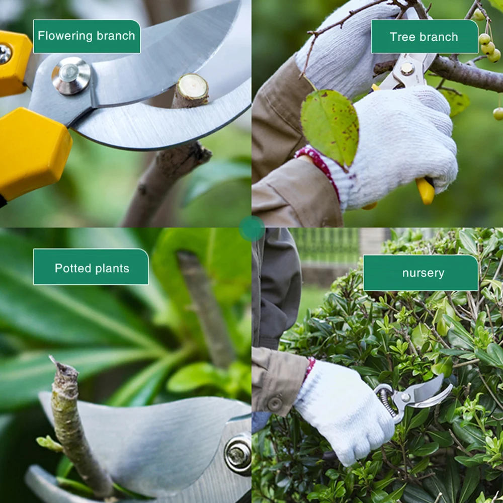 DELI-tijeras de podar para jardinería, juego de sierra plegable de 7 pulgadas, Árbol frutal en maceta verde, herramientas duraderas que ahorran trabajo, poda de jardín y huerto