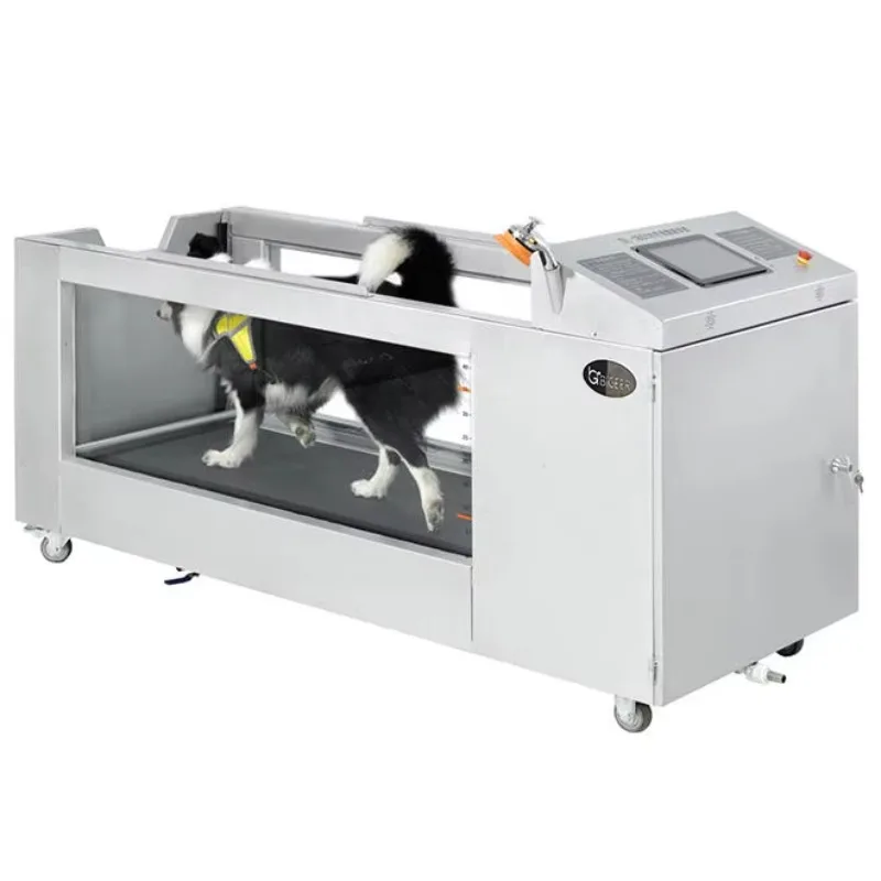 2026 Modern Pet Underwater Treadmill, Stainless Steel Freestanding