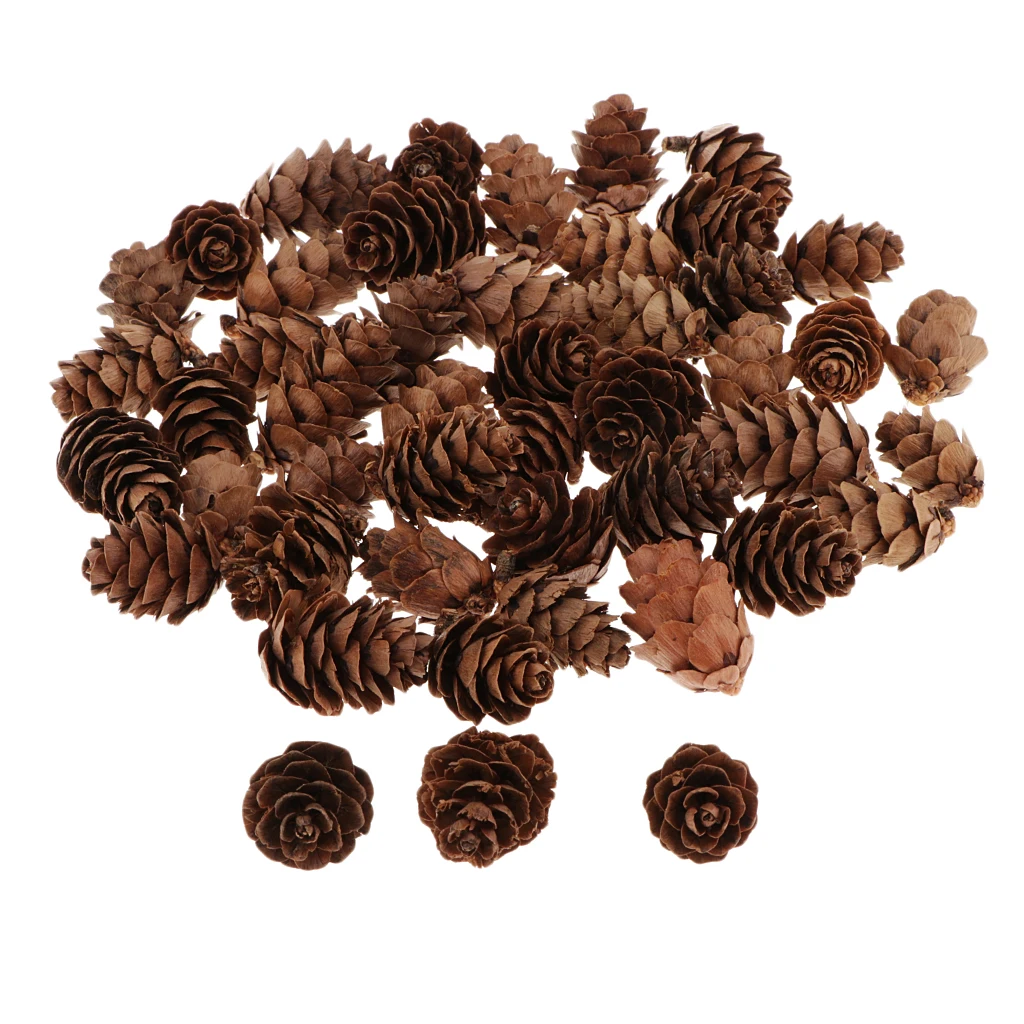 Natural Brown Pinecones Ponderosa Pine Cones Approx. 60 Pcs of Assorted Sized Pine Cones Fall and Christmas Pine Cones Ornament