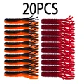 SO080-36