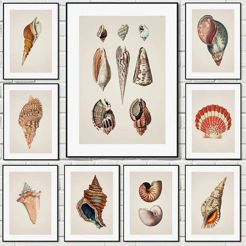 Wonderful Marine Life Starfish Conch and Lobster Cute Canvas Posters and Printed Pictures for Bedroom and Children's Room Decor