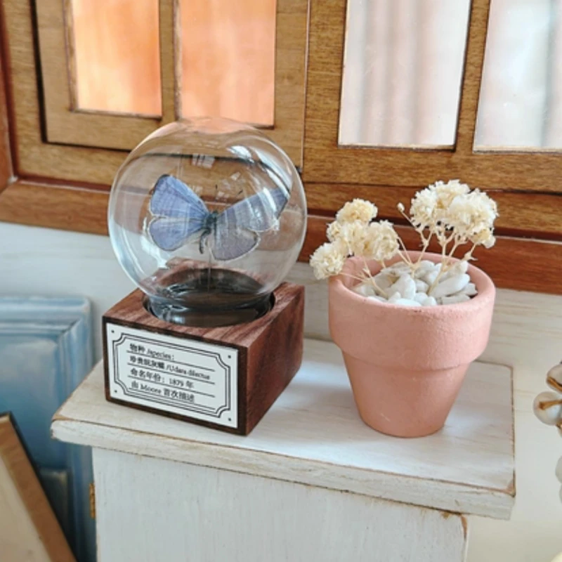 Mini bola de cristal de muestra de serie de mariposas de nogal clásico Original, colección de decoración de escritorio hecha a mano, regalo creativo para Festival
