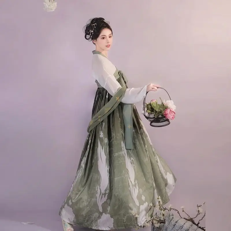 Hanfu الأصلي المصنوع يدويًا - مجموعة Tang Style Ruqun للنساء أزياء الهالوين الجنية مع التطريز الملابس الصينية التقليدية