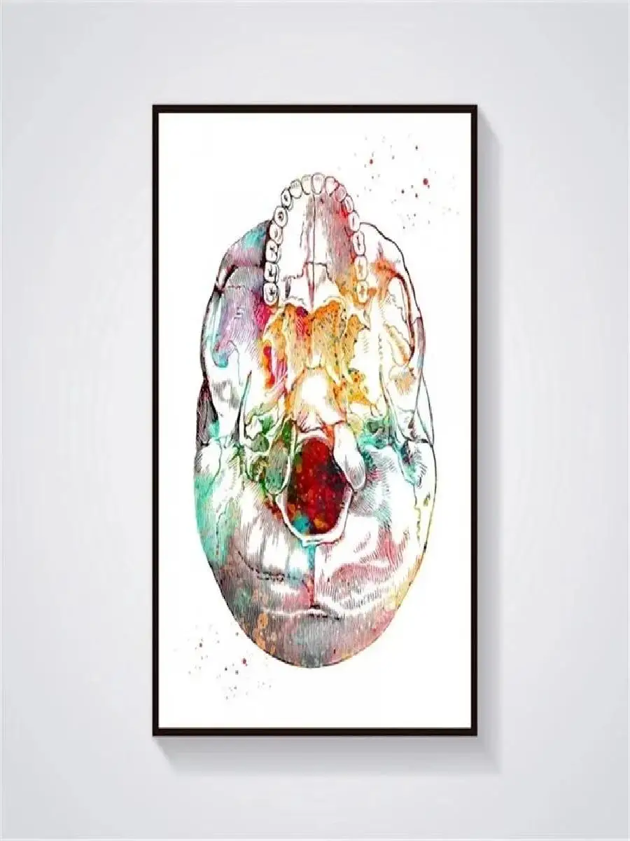 Anatomy Medical Wall Art  Skeleton Skull Spine Vertebrae Tooth Structure Watercolor Canvas Posters for Educational Decor