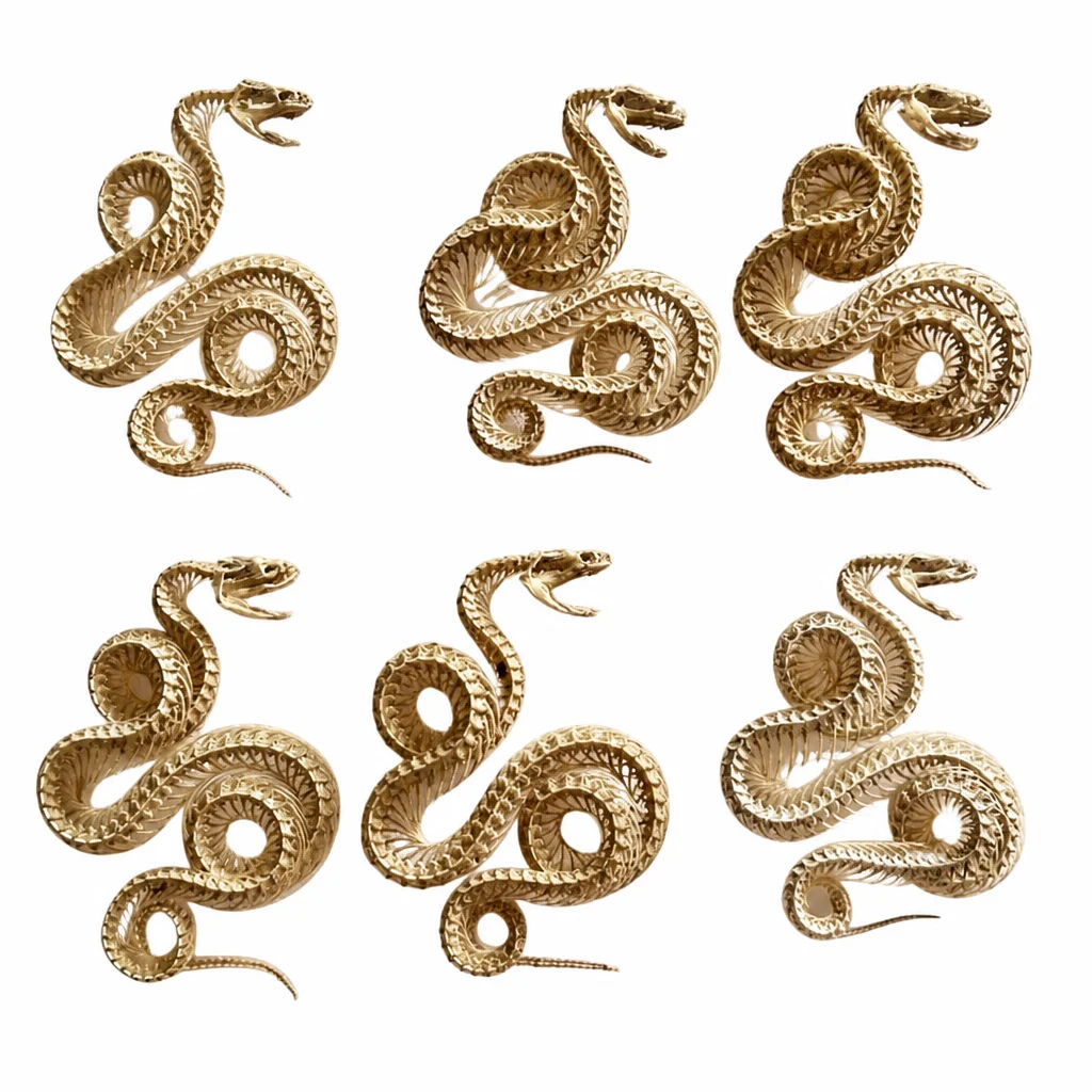 1-10 PCS Animal Taxidermy Real Snake Skeleton Skull Animal Bone Specimens