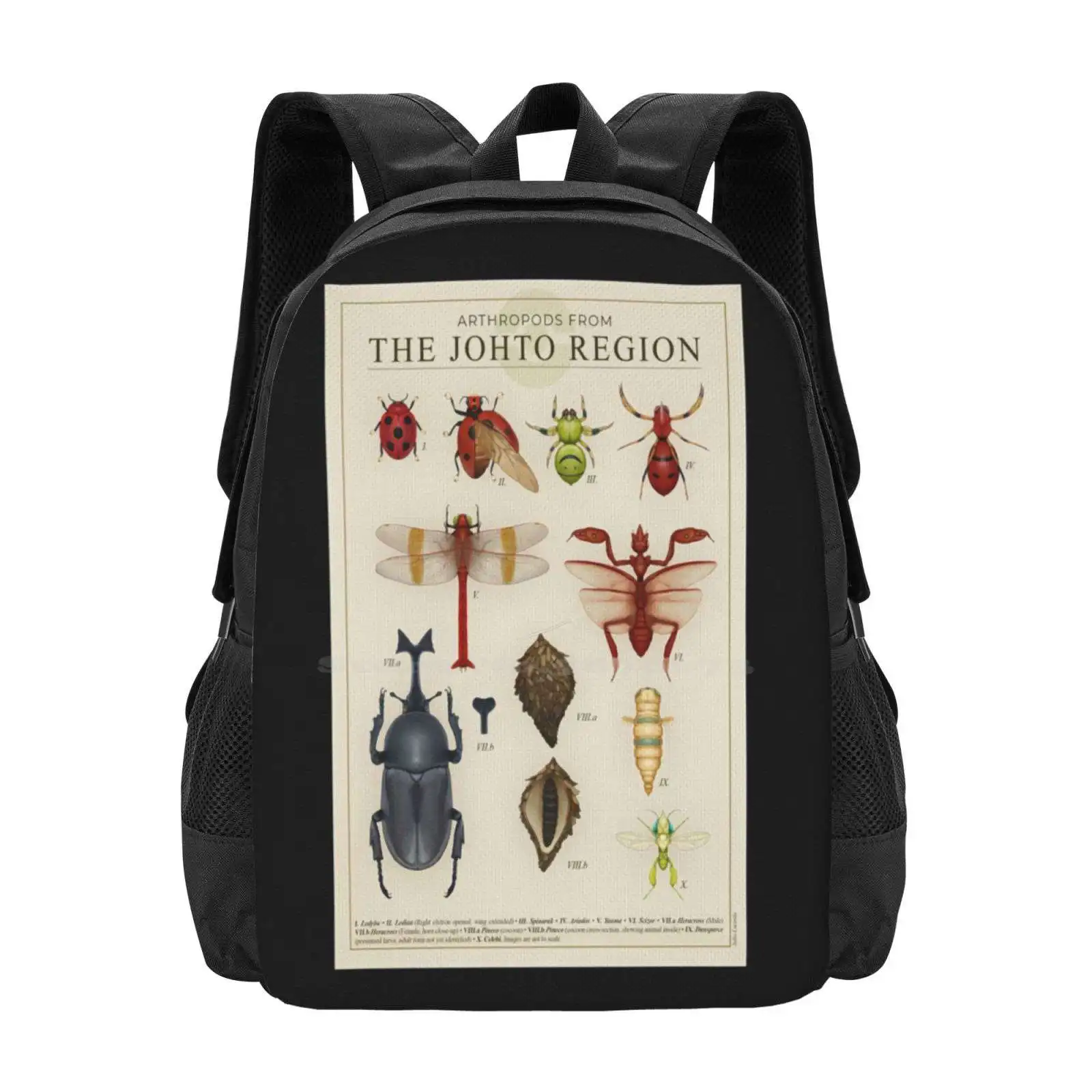 Arthropods From Johto Hot Sale Schoolbag Backpack Fashion Bags Insetcs Science Entomology