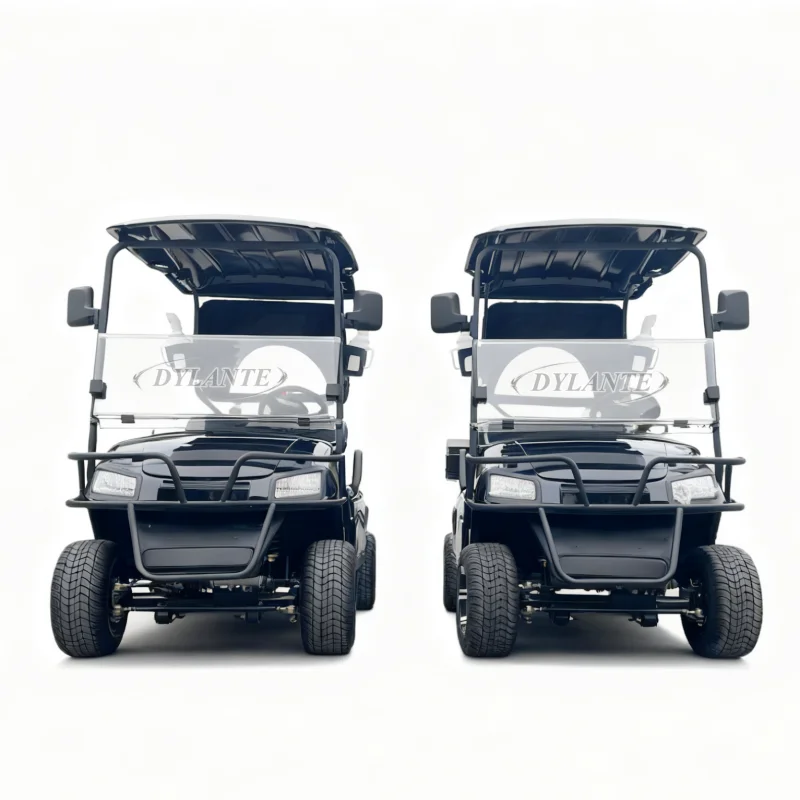 

Экскурсионный автомобиль, автобус, 1 ряд, 2 пассажира, электрическая тележка для гольфа, может быть изготовлена на литиевой батарее, гольф-багги