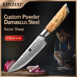 XINZUO-Ensemble de Couteaux de Cuisine à Steak de 5 Pouces, Damas Japonais VG10, Lame de Rasoir Tranchante, Côtelettes d'Agneau, Manche en Bois de Porc