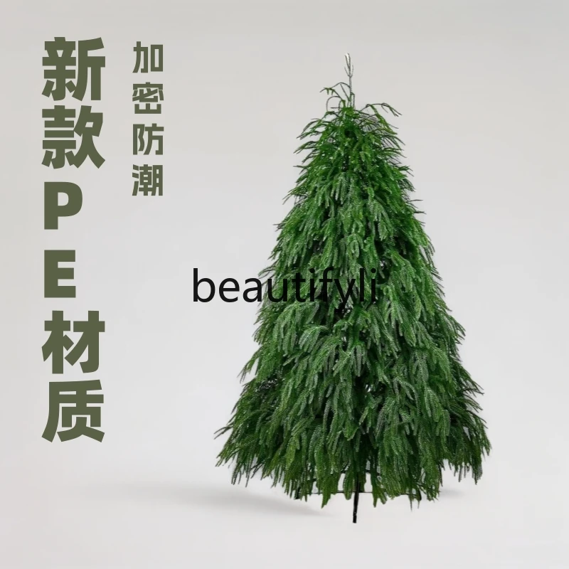 

Christmas, artificial willow tree large indoor shopping mall store clock in holiday decorations