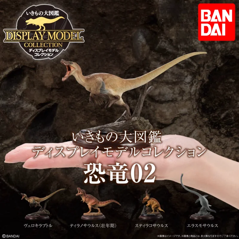 Original Bandai Gashapon Big Biological Map Figures Dinosaur Tyrannosaurus Simulation Movable Animal Action Figure Model Gift