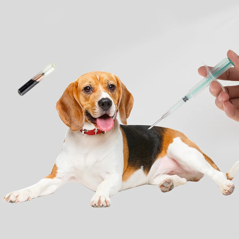 1 Piece Pet Animal Microchip Syringe 1.25*7mm/1.4*8mm/2.12*12mm Horse Dog Microchip Pet Chip Animal Syringe For Dogs Cats Fish