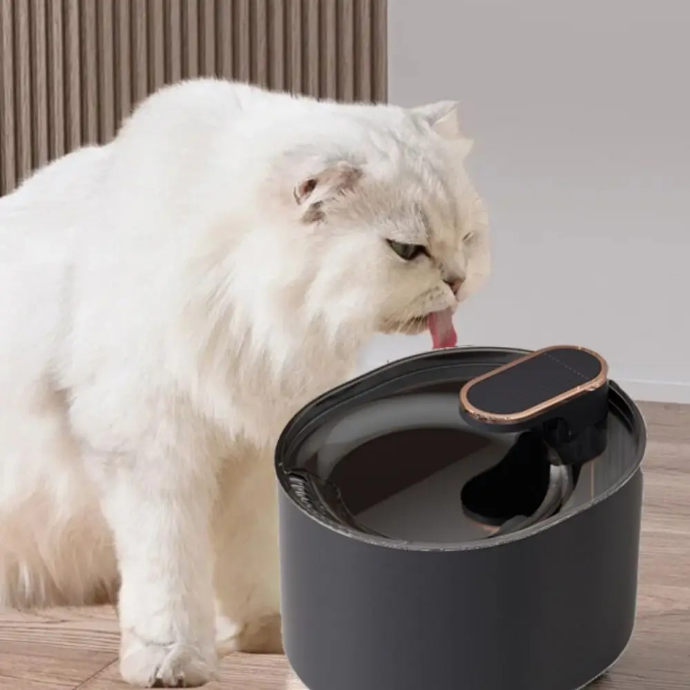 Thumbnail 4 - #11 Trending Drinking Fountains Right Now