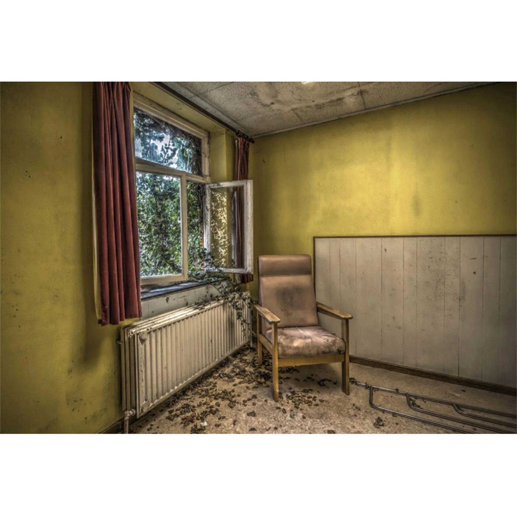 Laeacco السيرك خيمة التصوير خلفية كرنفال بالون الهواء الساخن الحيوان طفل عيد ميلاد الطفل دش صورة خلفية مخصصة