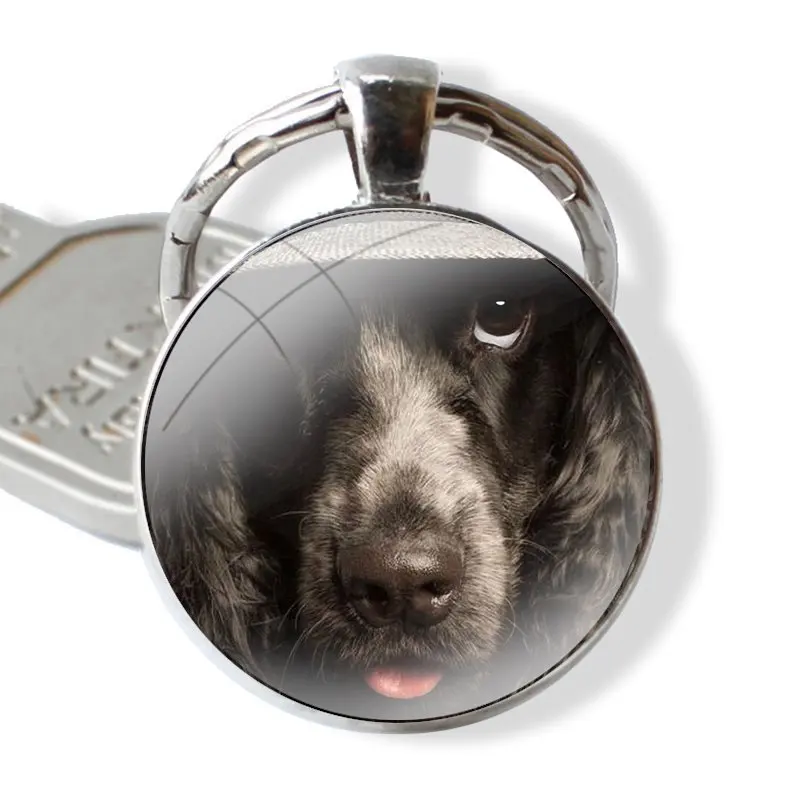 25mm Glass Cabohcon Keychain Key Rings for Women Men Jewelry Gift Cocker Spaniels dog puppies Poster