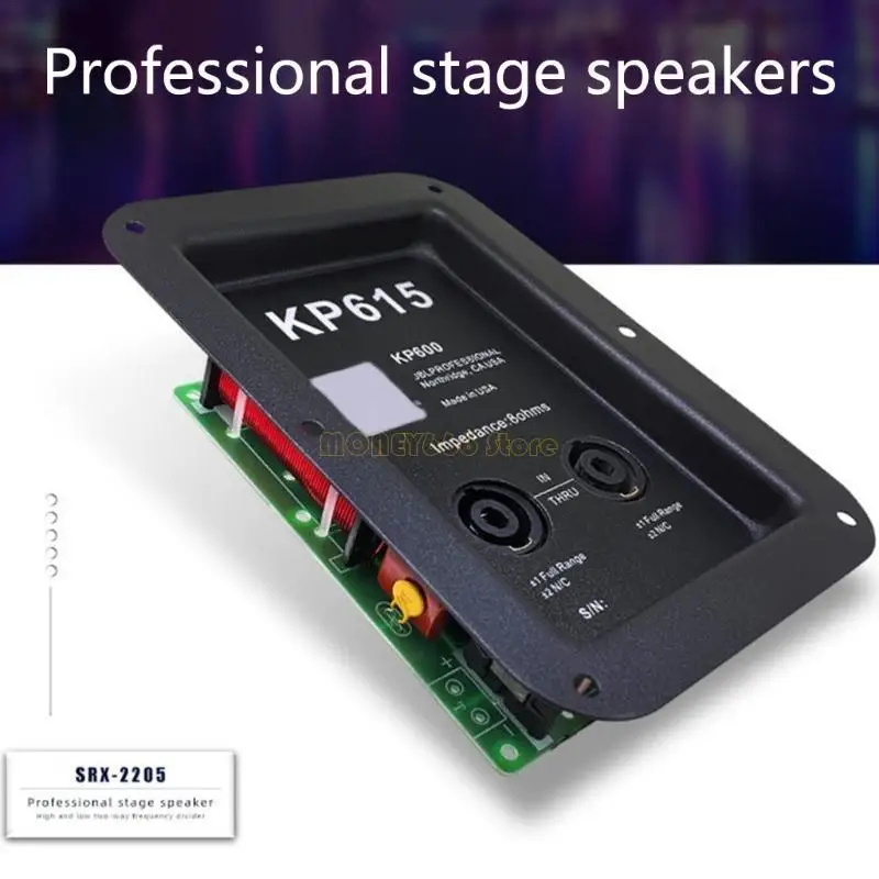 F62C 1PC 450W 2 Way Speaker Spexider Dister Tenter Bass Crossover Filter Amplifier Home Sound Theater