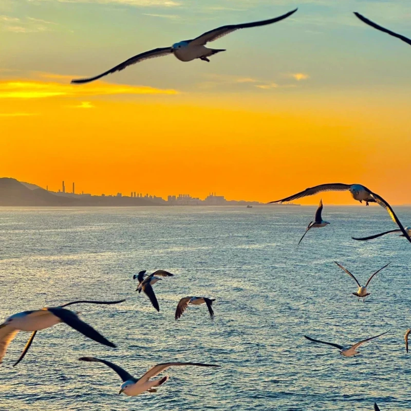 

JX Servo WP5326HV-300 Цифровой сервопривод - крутящий момент 26 кг, водонепроницаемость IP68, металлическая шестерня, для радиоуправляемых автомобилей, лодок, гусеничных машин и робототехники