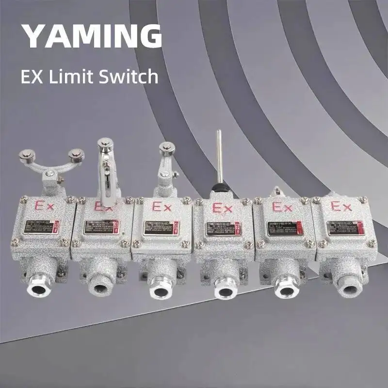 EX Travel Limit Switch Explosion-proof LX5-5D 5L 5Z 5N 5S 5T Roller Single Flameproof Switches Silver Contact