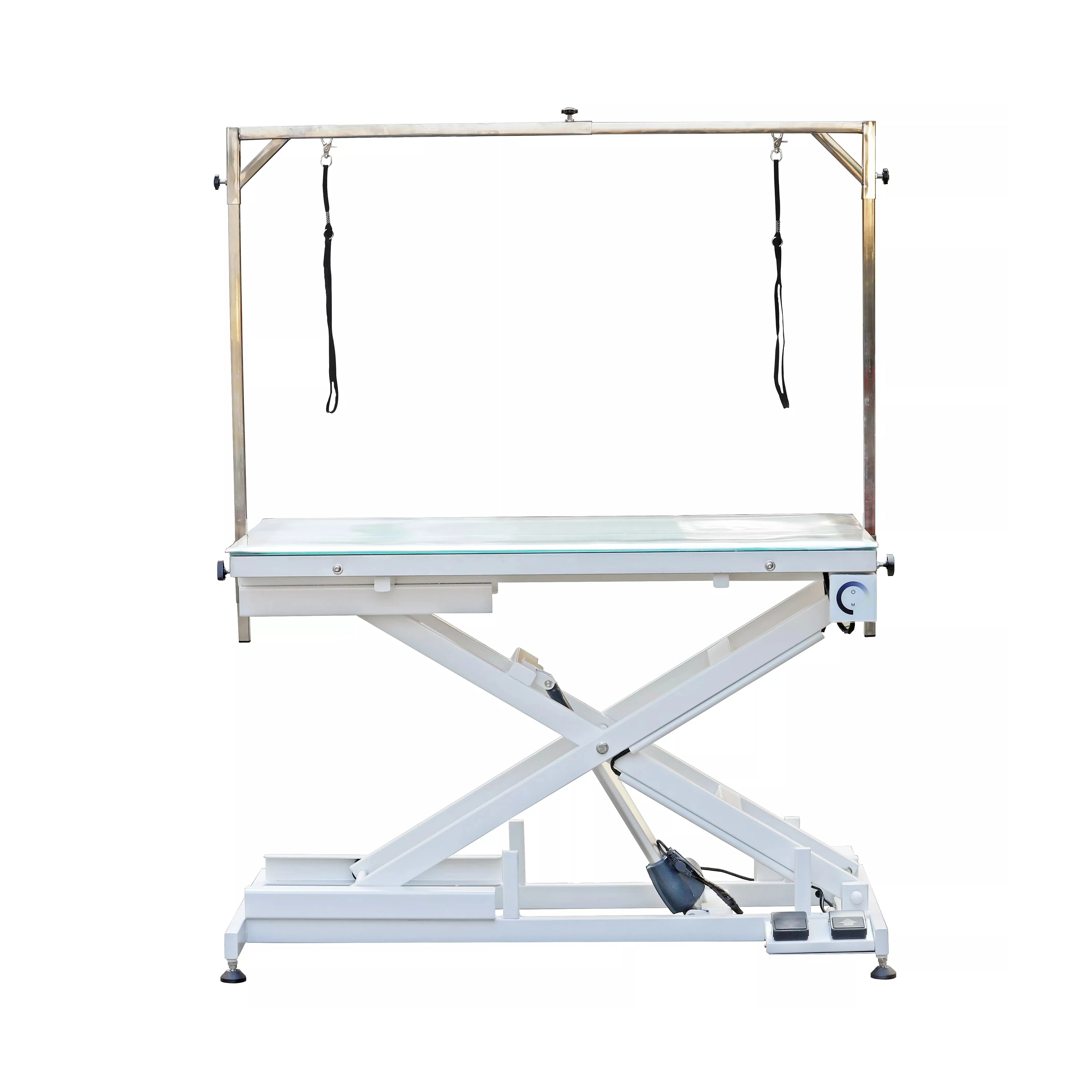 Pet Clinic Veterinary Grooming/Operation Table With Adjustable LED Lighting Electrical Lifting Dog Pet Grooming Table