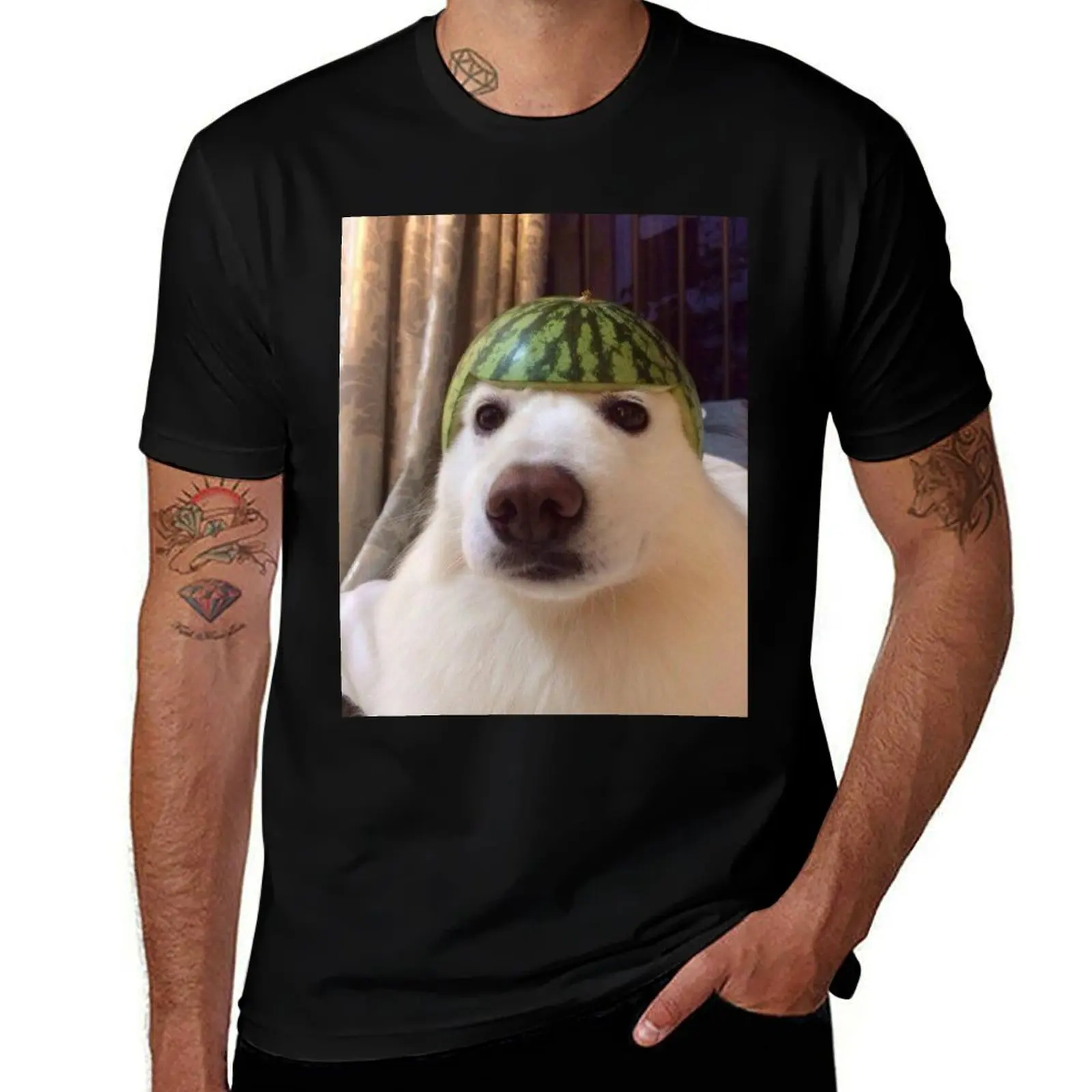 

dog watermelon hat T-Shirt funny t shirts man t shirts for man pack cotton T-Shirt