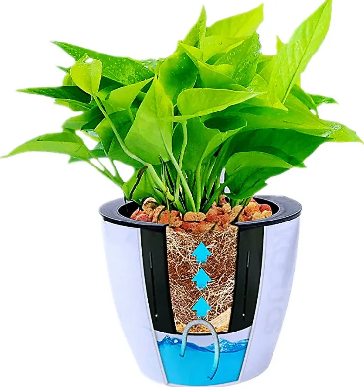 

Different Size Plant Pots with Drainage Self Watering Wick Cord Plastic CLASSIC Modern Flower Pots Plastic Planter