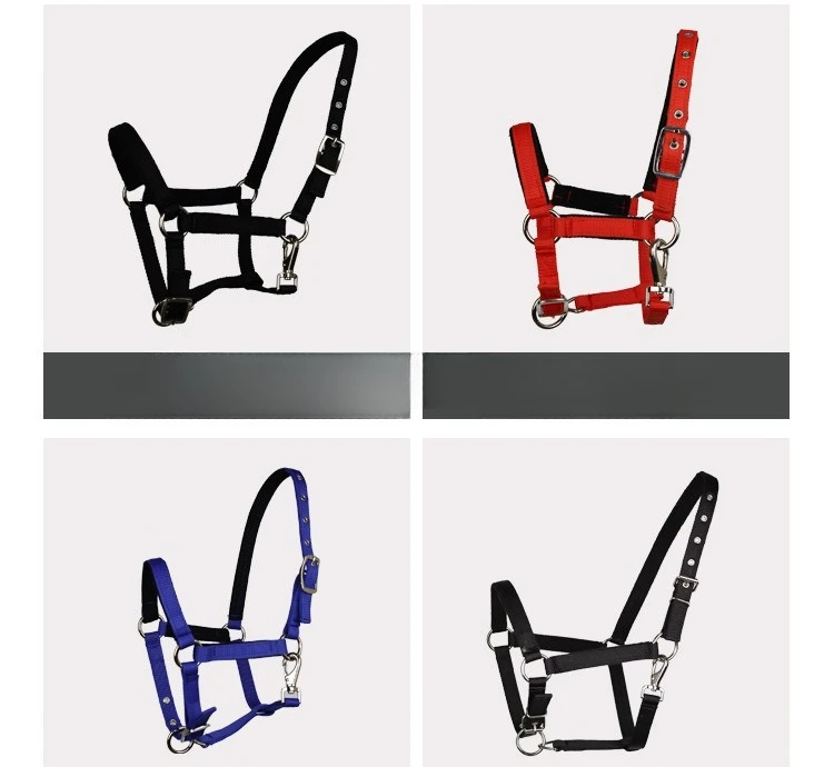 لوازم الفروسية غطاء رسن الحصان منتجات الفروسية رسن الرصاص لرائد الحصان والعناية اليومية