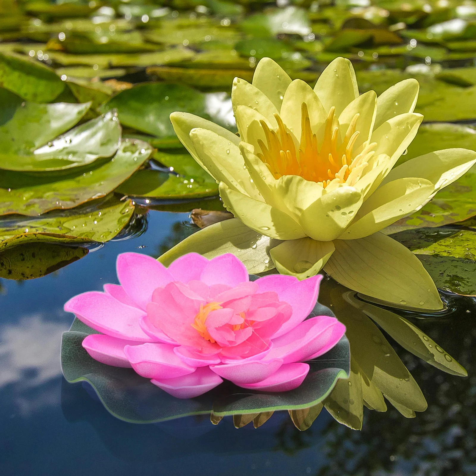 

4Pcs Floating Eva Lotus Flowers Realistic Simulation Artificial Water Lilies for Pond Aquarium Garden Decor Floating Fake Lotus