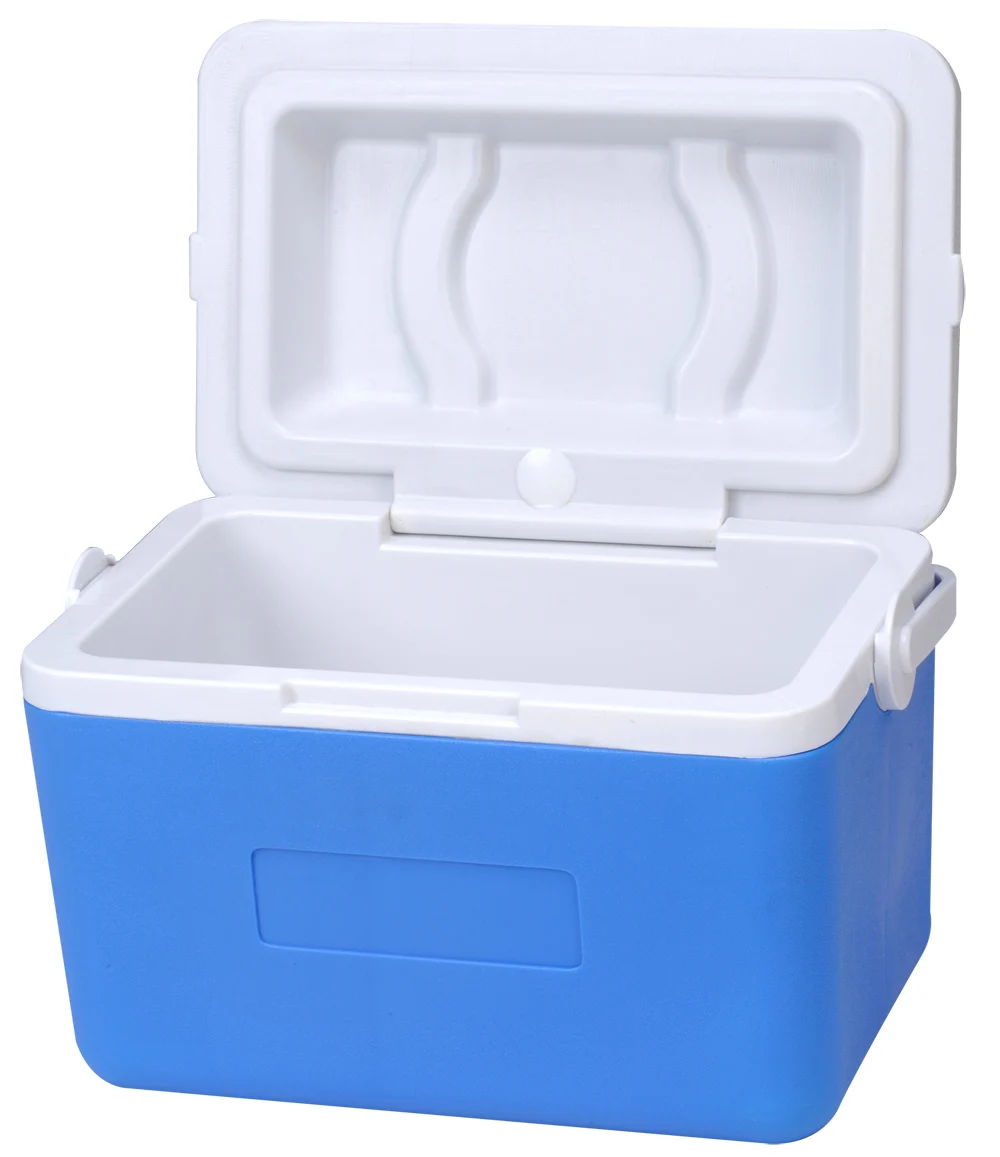 Quality Certification 9L Commercial Plastic Insulated Ice Travel Delivery Small Capacity Portable Cooler Lunch Box for Travel