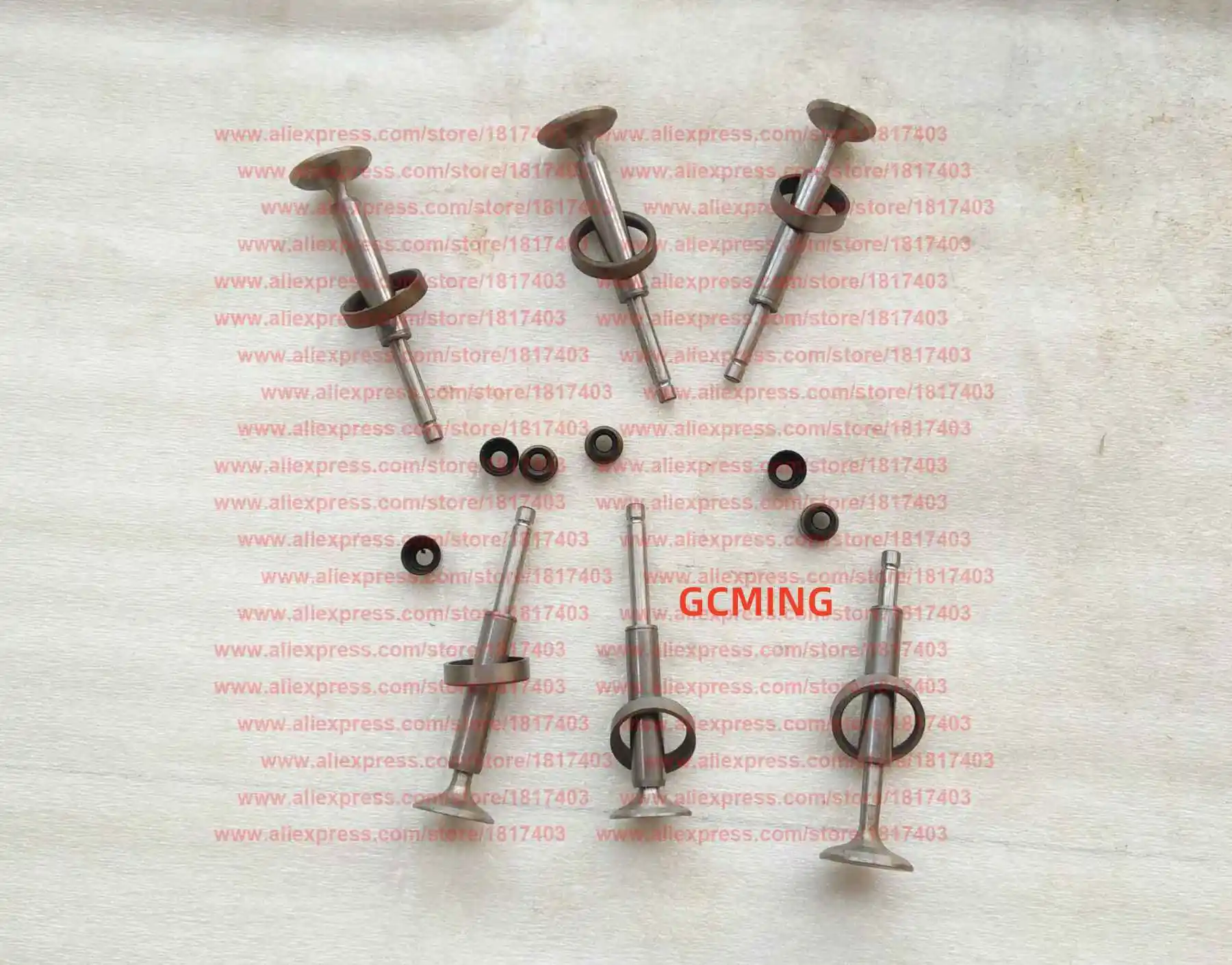 Yangdong Y380T Valve Repair Kit , Exhaust valve, Intake valve, Valve stem guide, Exhaust / Intake valve seat, Valve oil seal