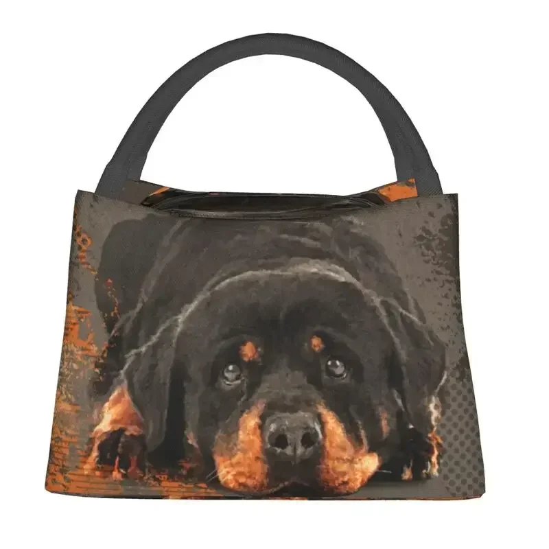 Cute Rottweiler Dog Thermal Insulated Lunch Bags Animal Resuable Lunch Container for Office Outdoor Multifunction Meal Food Box