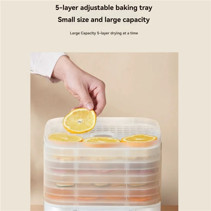 A05G-Food Dehydrator For Jerky Food Dehydrator Machine For Fruits/Meats/Snacks US Plug