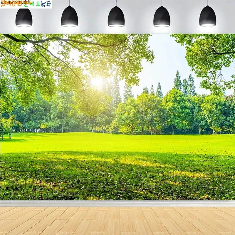 

Tranquil City Park Blue Sky Photography Backdrops Grass Landscape Bathed Morning Sunlight Garden Photo Background CG-25