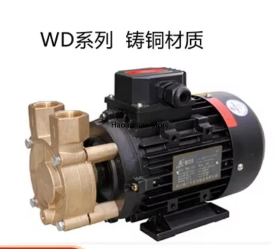 High-temperature cast copper material 200 high-temperature low-temperature pump WS 0.55kw