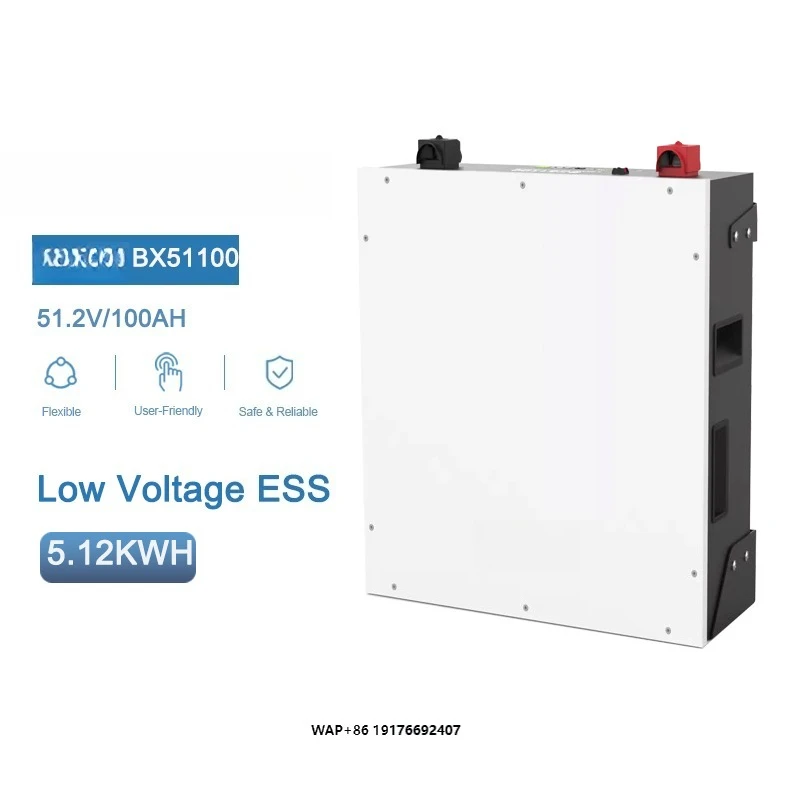 Dyness BX51100 51200W Power Wall Mounted Battery Pack 51.2V 100AH 5KWH Home Energy Storage Lifepo4 Lithium Ion BMS Stock