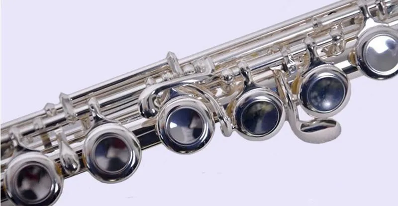 Thumbnail 4 - #16 New Flute Cases & Gigbags Arrivals